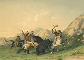 Ataque al oso pardo