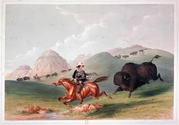 Caza de bisontes en América del Norte - litografía de Georges Catlin