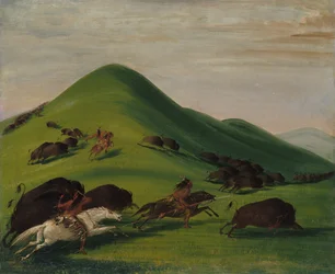 Persecución de búfalos sobre los acantilados de la pradera, 1832-1833