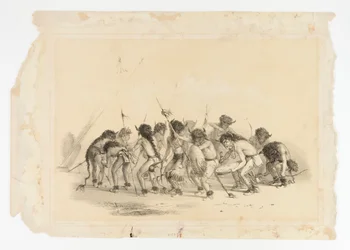 Baile del Búfalo nº 8