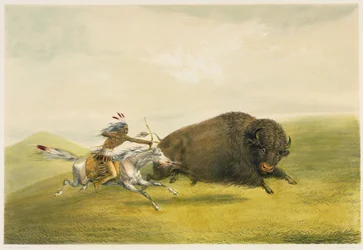 Buffalo Hunt Chase (litografía en color)