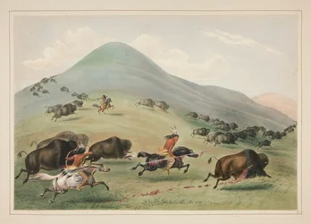 Caza de búfalos, Chase, pl. 6 de la cartera de indios norteamericanos