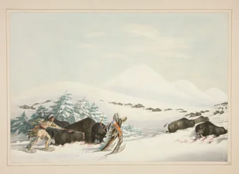 Caza de búfalos, sobre raquetas de nieve, pl. 15 de la cartera de indios norteamericanos