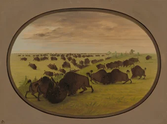 Toros luchando, 1861-1869