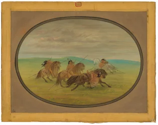 Equitación Camanchee