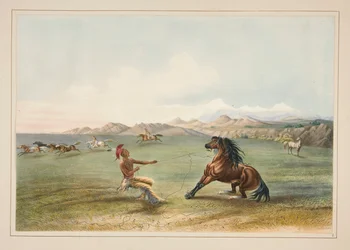 Atrapar al caballo salvaje, pl. 4 de la cartera de indios norteamericanos