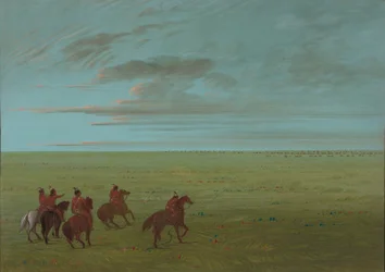 Connibos partiendo para caballos salvajes