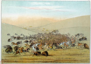 Indios de América: indios miniatarees cazando búfalos con lanzas. Ilustración de George Catlin (1794-1872).