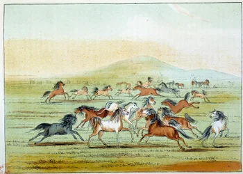 Indios de América: caballos salvajes cazados por indios. Ilustración de George Catlin (1794-1872)