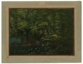 Bosque Exuberante en la Orilla del Amazonas
