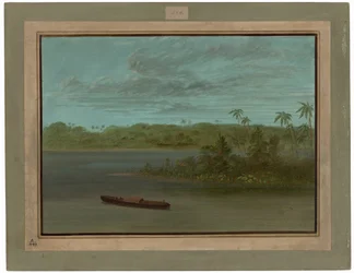 Desembocadura del río Purús