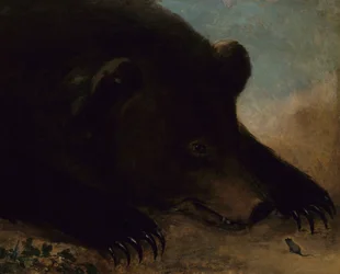 Retratos de un oso pardo y un ratón, tamaño natural