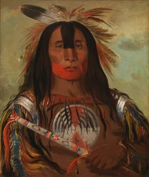 Stu-mick-o-súcks, Grasa de lomo de búfalo, Jefe principal, Tribu Blood, 1832