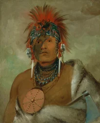Wá-hón-ga-shee, ningún tonto, un gran petimetre