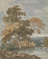 Árboles junto a un río
