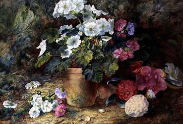 Naturaleza muerta de pelargonios en una maceta con camelias