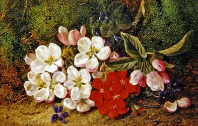Flores y geranios junto a un banco musgoso