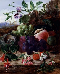 Naturaleza muerta de fruta, fucsia y nido de pájaros. Pintura de George Clare (1835-1899) Colección particular.
