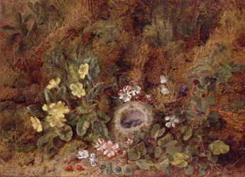 Naturaleza Muerta con Nido de Pájaros y Flores Silvestres
