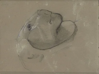 Cabeza de león, probablemente por una escultura