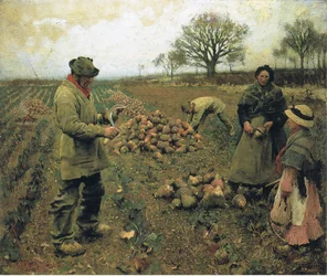 Trabajo de invierno