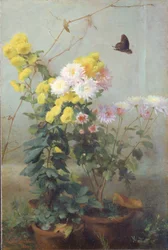 Sol de otoño