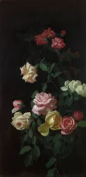 rosas