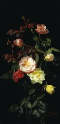 Rosas, 1878