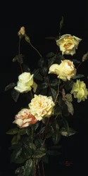 Rosas, 1878