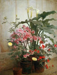 Lado de un invernadero, 1870-80