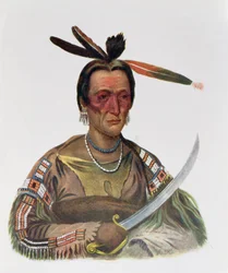 To-Ka-Cou, un Jefe Sioux Yankton, 1837, ilustración de 