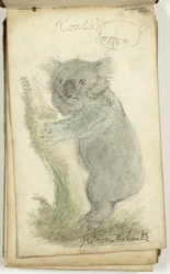 Cuaderno de bocetos