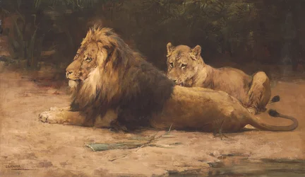 León y leona descansando (óleo sobre lienzo)