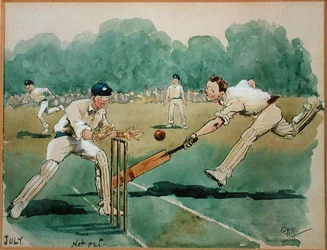 El mes de julio: Cricket