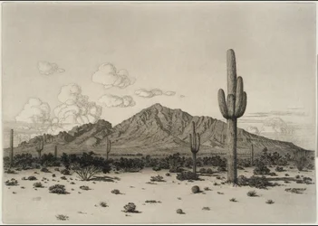 Montaña Camelback, Phoenix