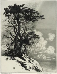 Costa en Monterey, California