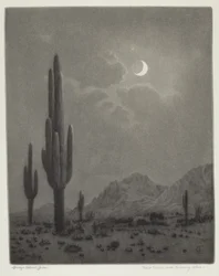 Luna nueva y estrella vespertina