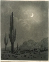 Luna nueva y estrella vespertina, Phoenix