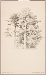 Pinos, Jardín público