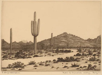 Camino al Valle del Paraíso, Arizona