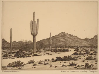 Camino a Paradise Valley, Arizona