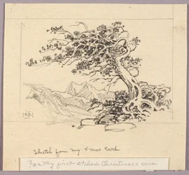 Boceto para tarjeta de Navidad (Windswept Pine [nº 1])
