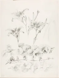 Sin título (Lirios y hiedra terrestre) (Glecoma Hederacea)