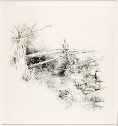 Sin título (Arroyo del bosque)