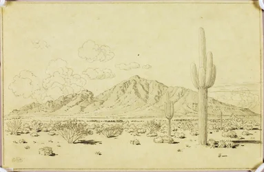 Sin título (dibujo de transferencia para Camelback Mountain, Phoenix)