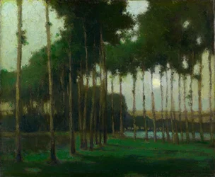 Paisaje a la luz de la luna (óleo sobre lienzo)