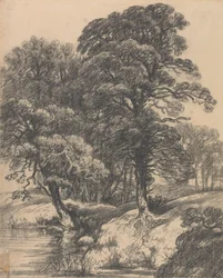 Un paisaje arbolado con piscina