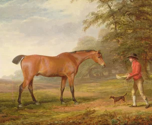 Un caballo bayo abordado por un mozo de cuadra con comida y una cuerda, 1789