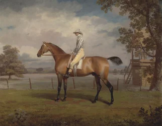 Retrato de un caballo de carreras, posiblemente disfrazado, propiedad del duque de Hamilton, con jinete arriba