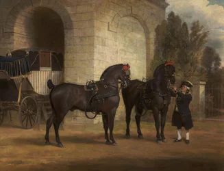 Dos caballos negros de carruaje con un cochero, 1791